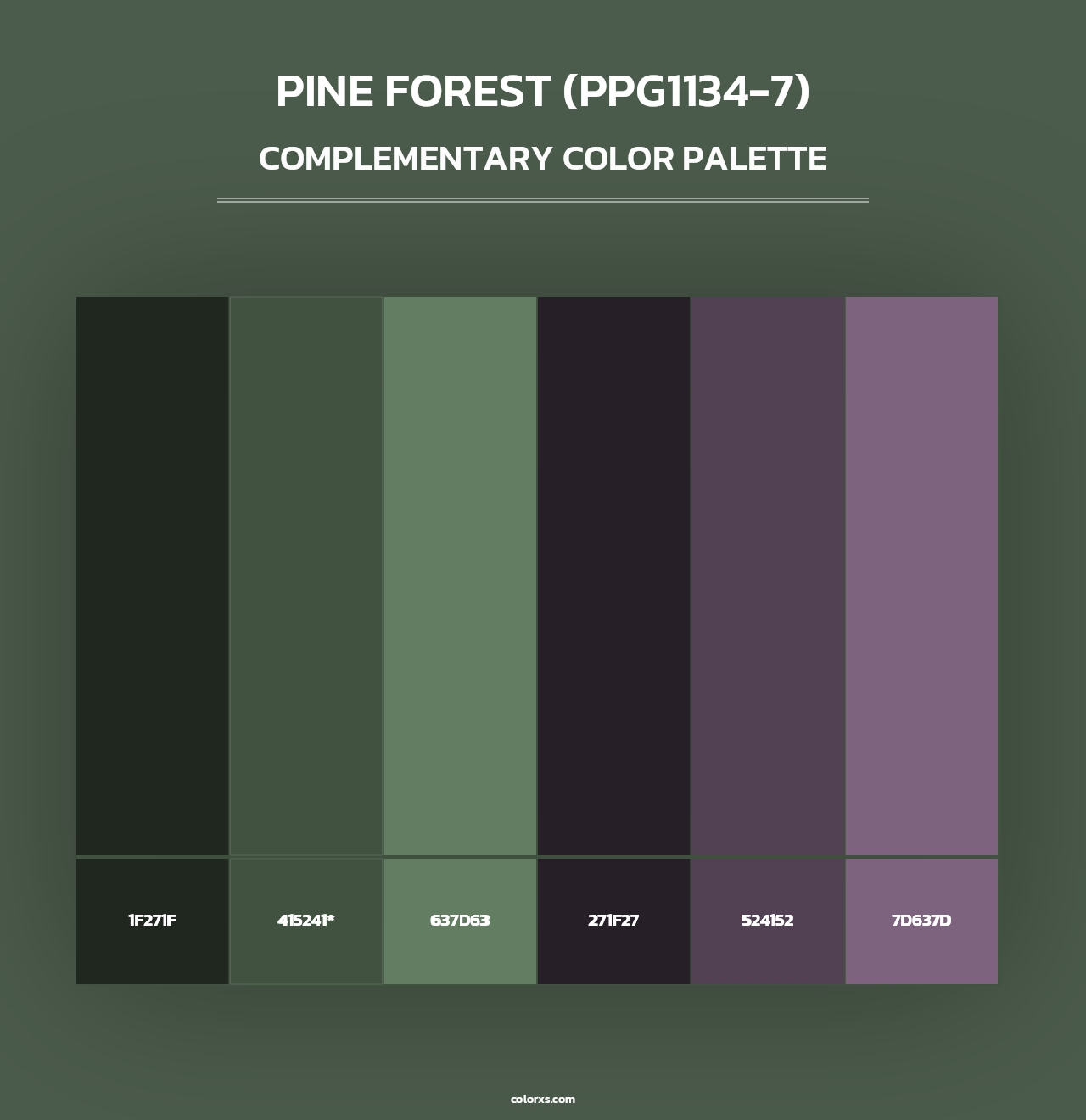 Pine Forest (PPG1134-7) - Complementary Color Palette