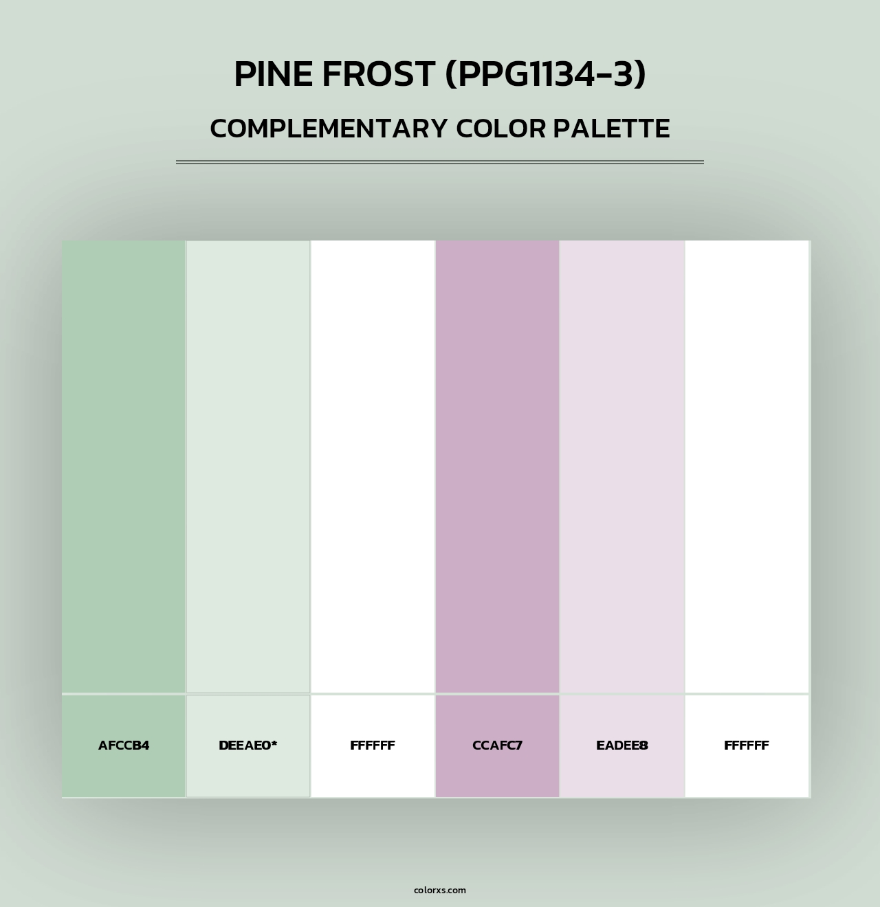 Pine Frost (PPG1134-3) - Complementary Color Palette