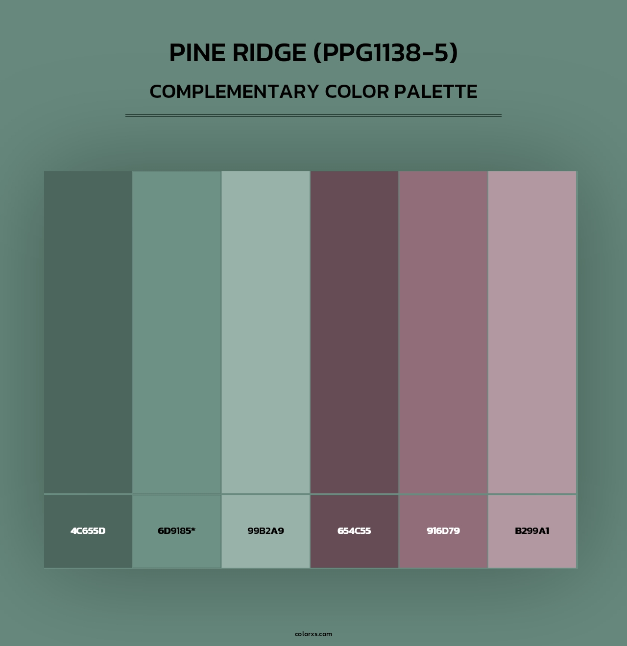 Pine Ridge (PPG1138-5) - Complementary Color Palette
