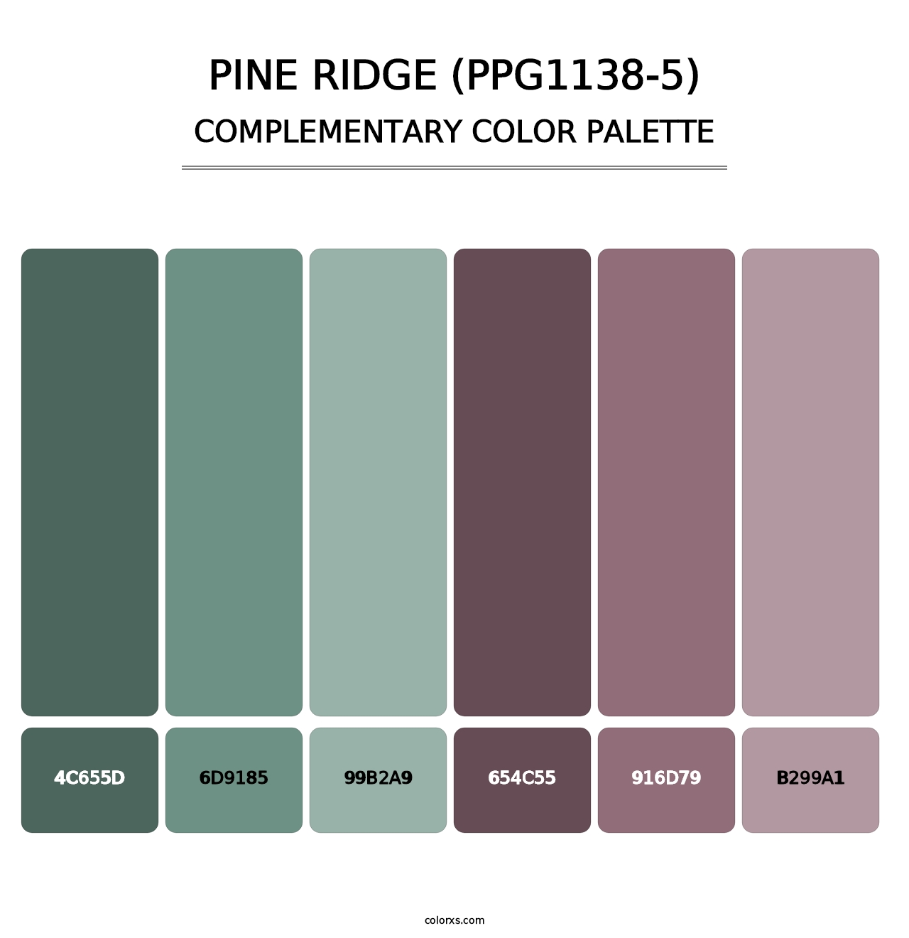 Pine Ridge (PPG1138-5) - Complementary Color Palette