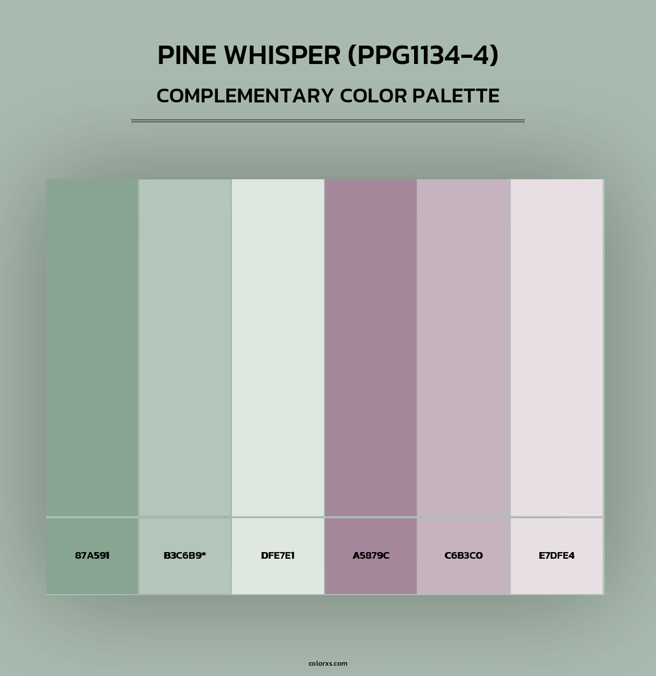 Pine Whisper (PPG1134-4) - Complementary Color Palette