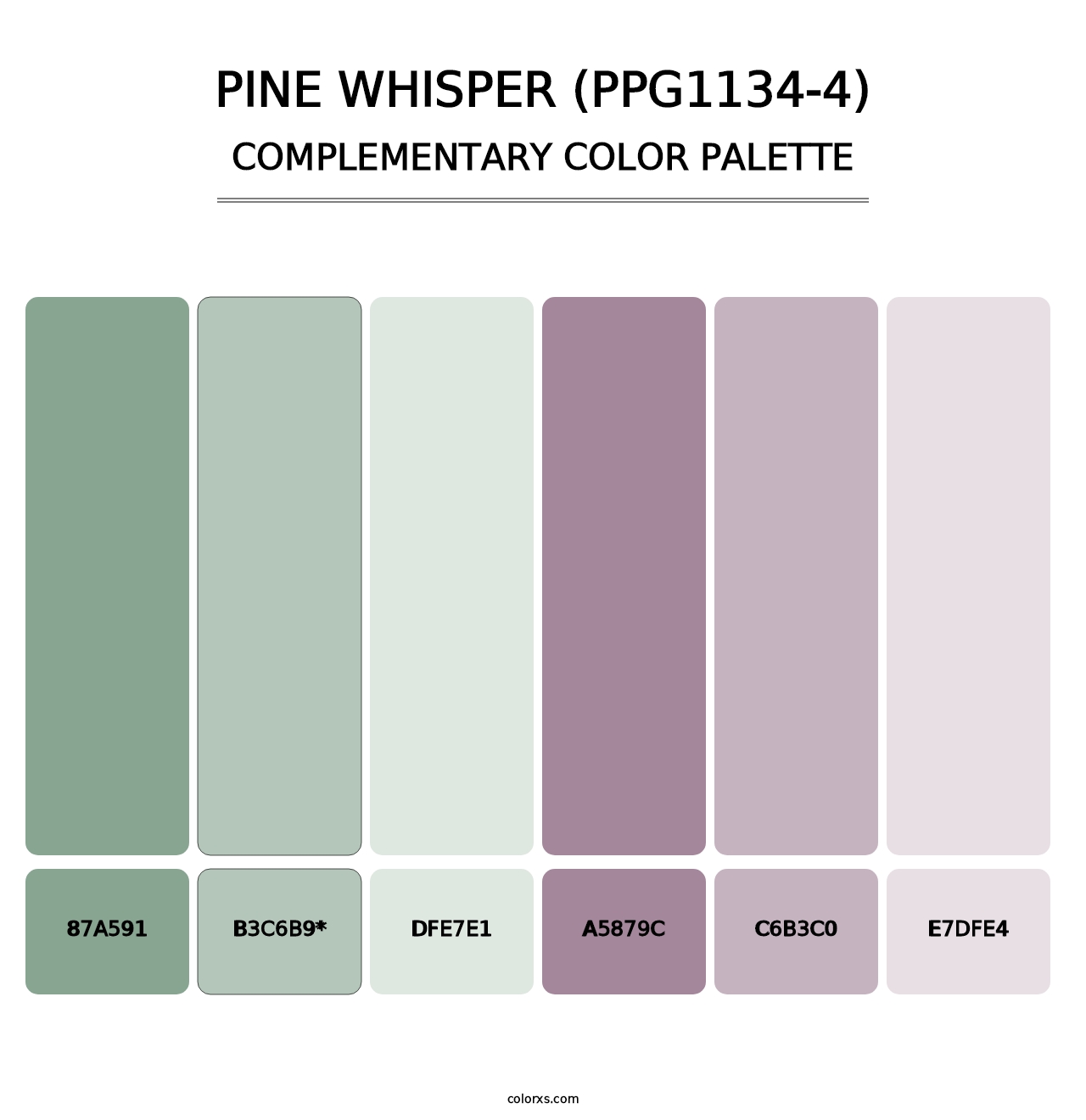 Pine Whisper (PPG1134-4) - Complementary Color Palette