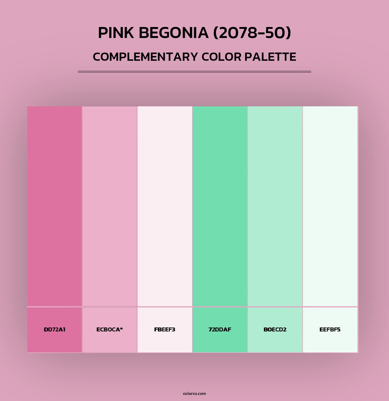 Pink Begonia (2078-50) - Complementary Color Palette