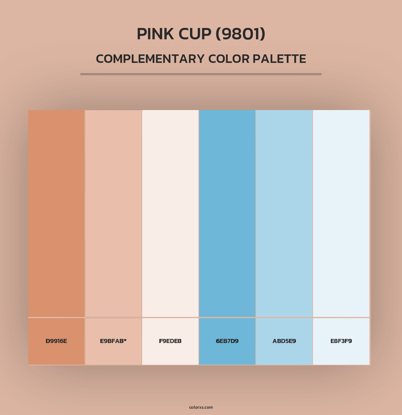 Pink Cup (9801) - Complementary Color Palette