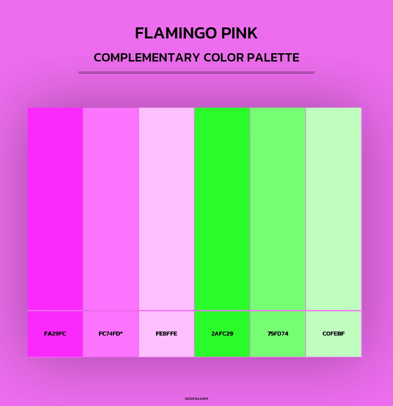 Flamingo Pink - Complementary Color Palette