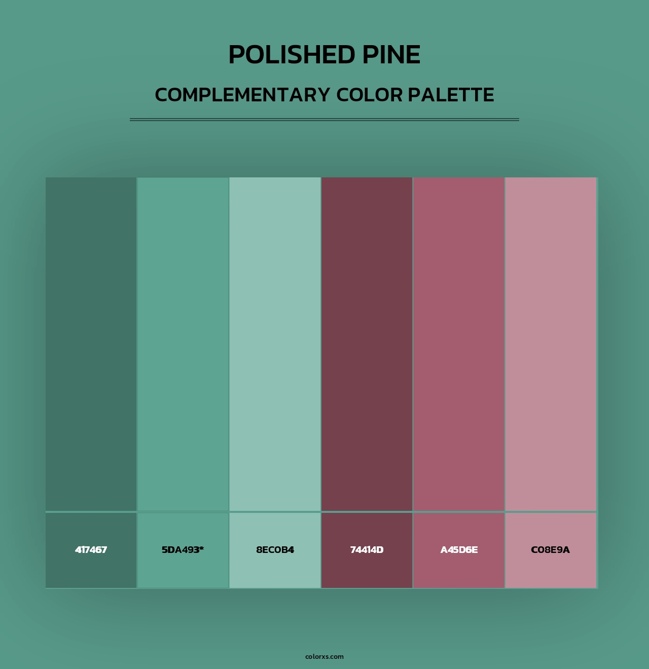Polished Pine - Complementary Color Palette