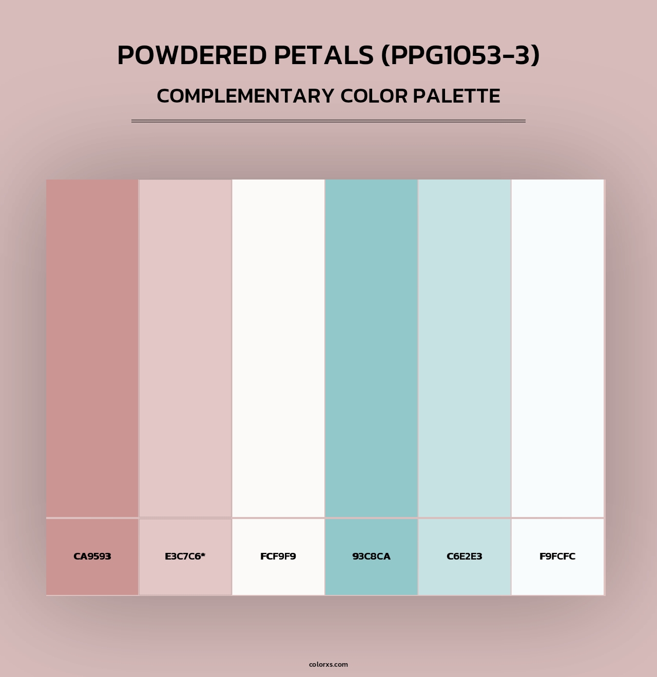 Powdered Petals (PPG1053-3) - Complementary Color Palette