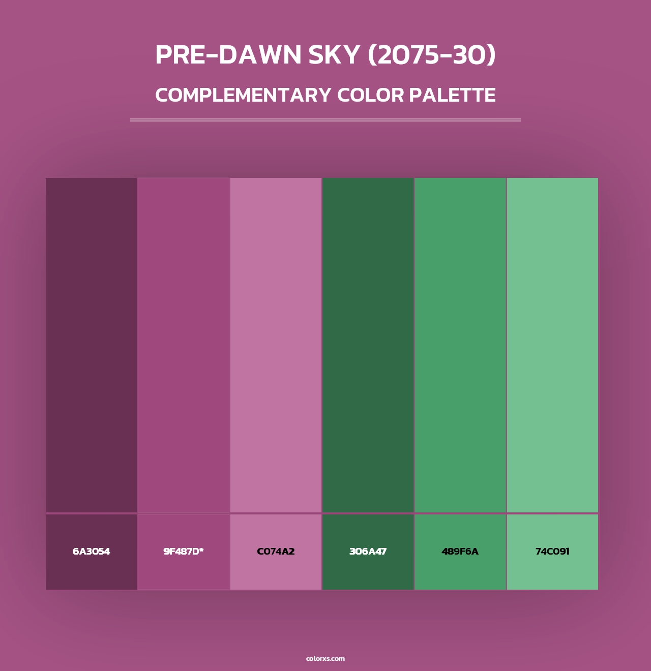 Pre-Dawn Sky (2075-30) - Complementary Color Palette