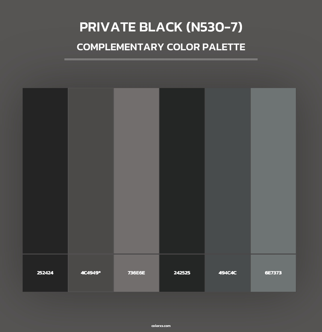 Private Black (N530-7) - Complementary Color Palette