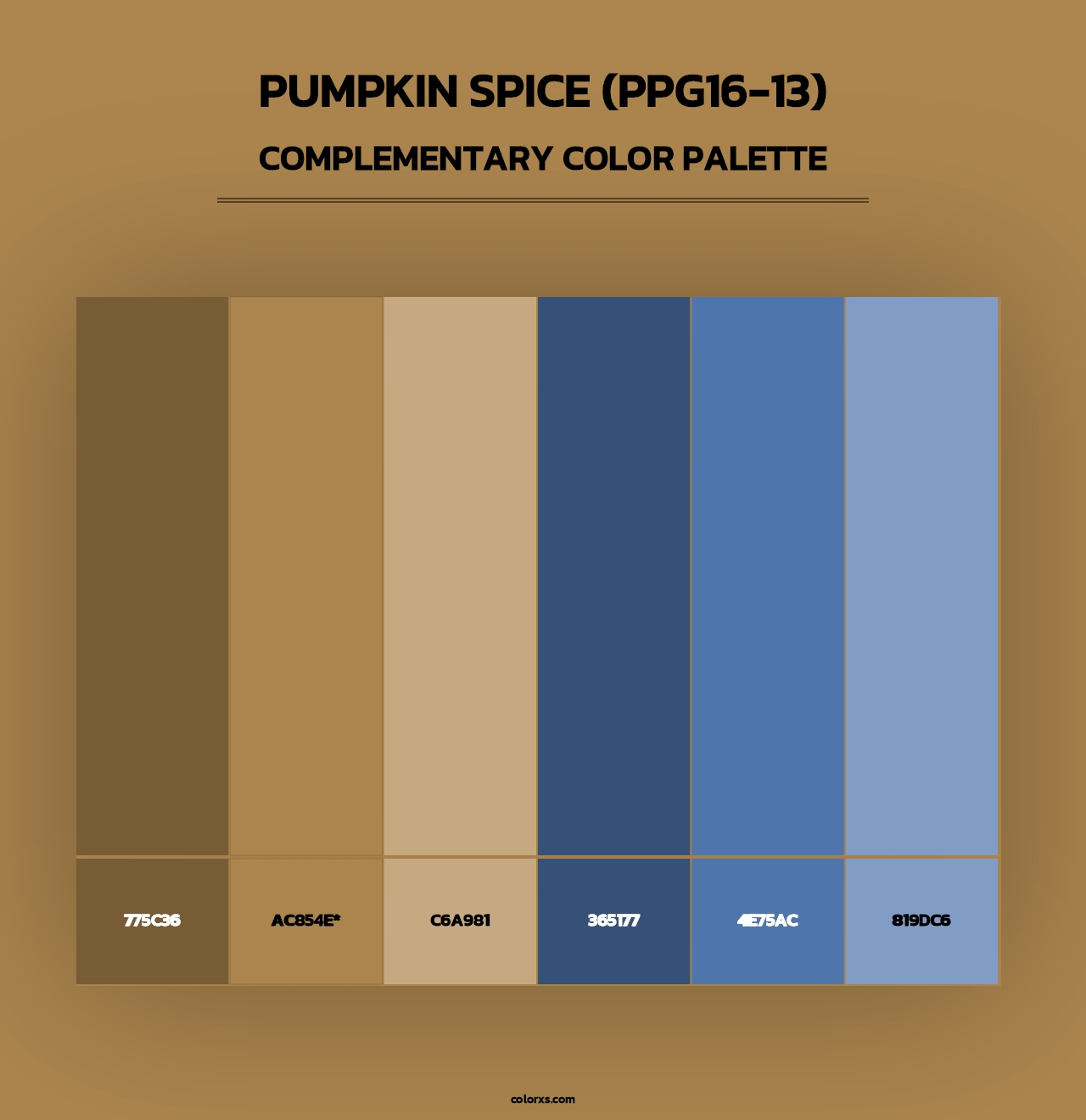 Pumpkin Spice (PPG16-13) - Complementary Color Palette
