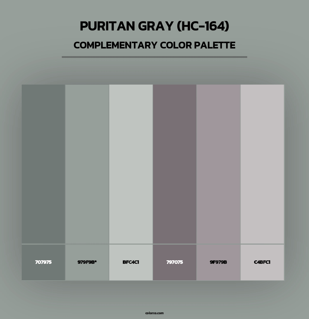 Puritan Gray (HC-164) - Complementary Color Palette