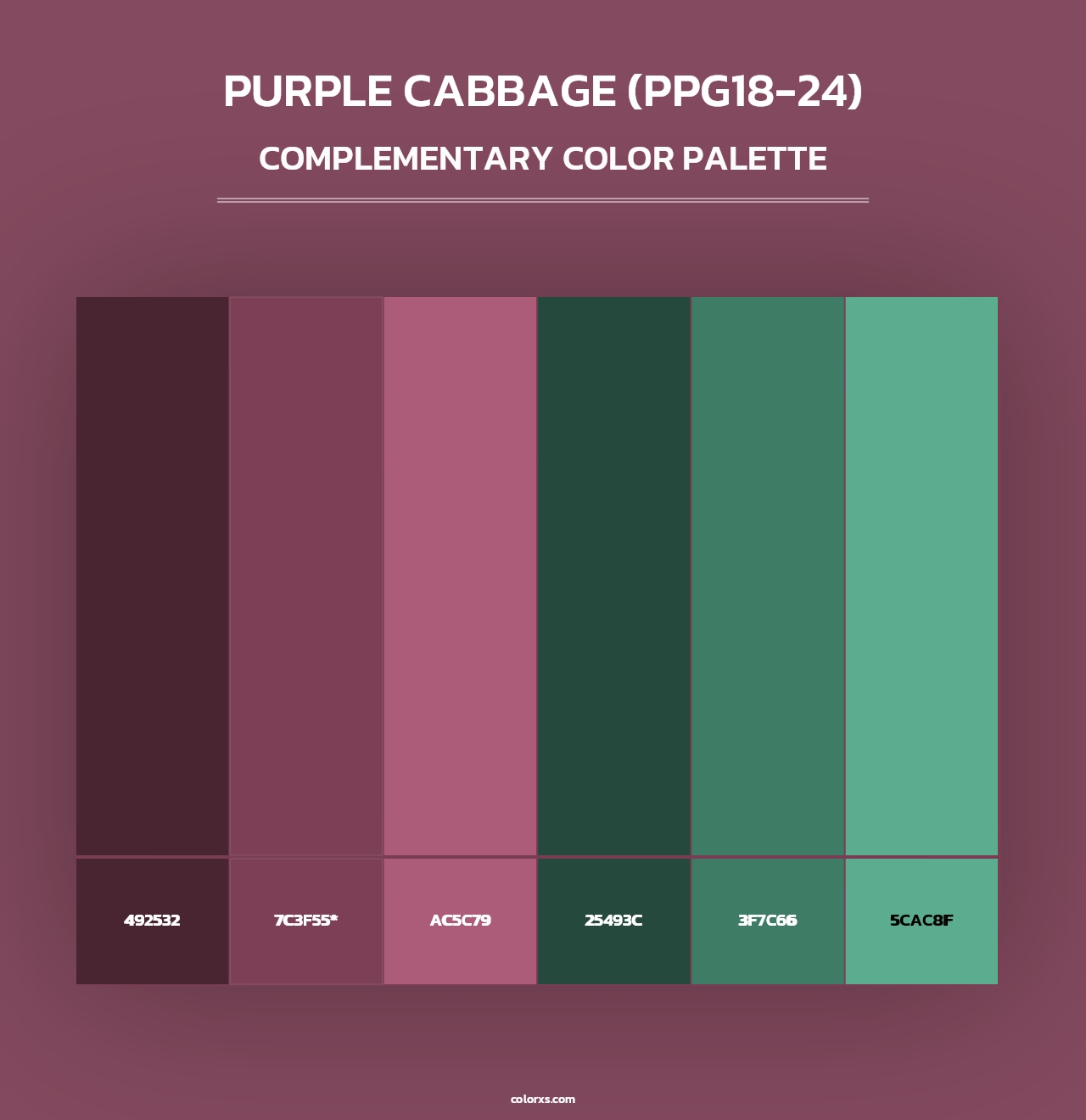 Purple Cabbage (PPG18-24) - Complementary Color Palette