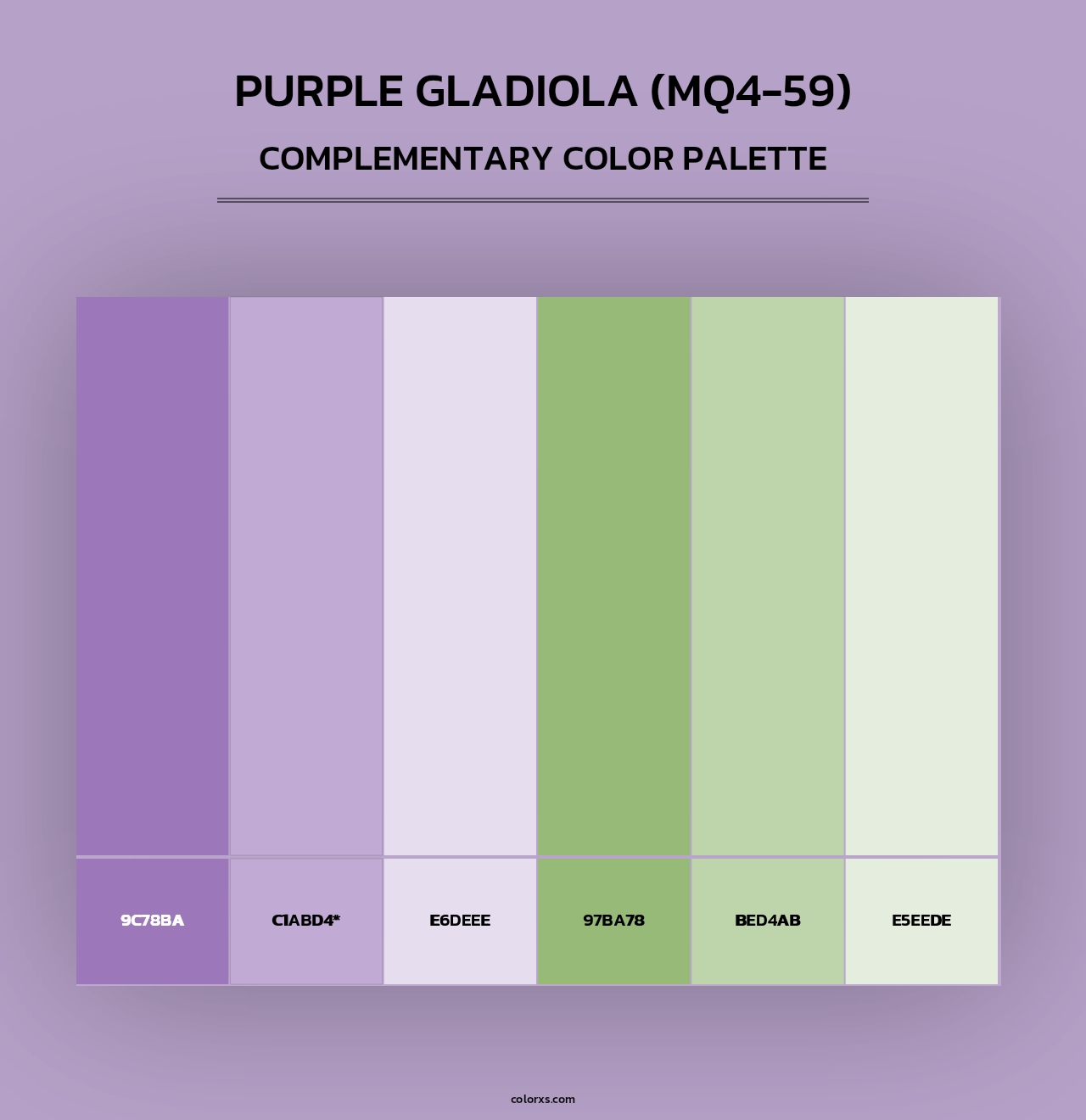 Purple Gladiola (MQ4-59) - Complementary Color Palette