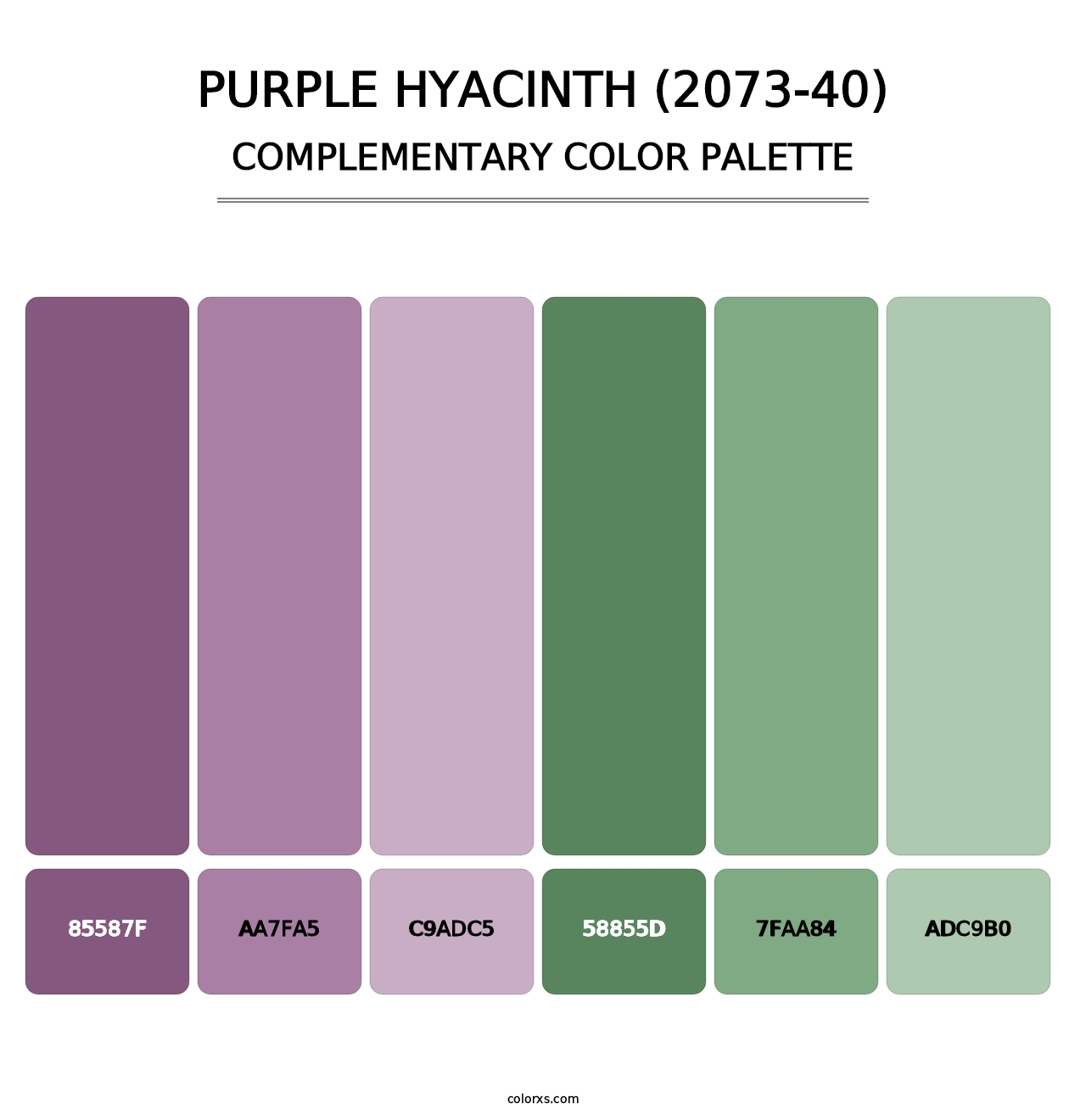 Purple Hyacinth (2073-40) - Complementary Color Palette