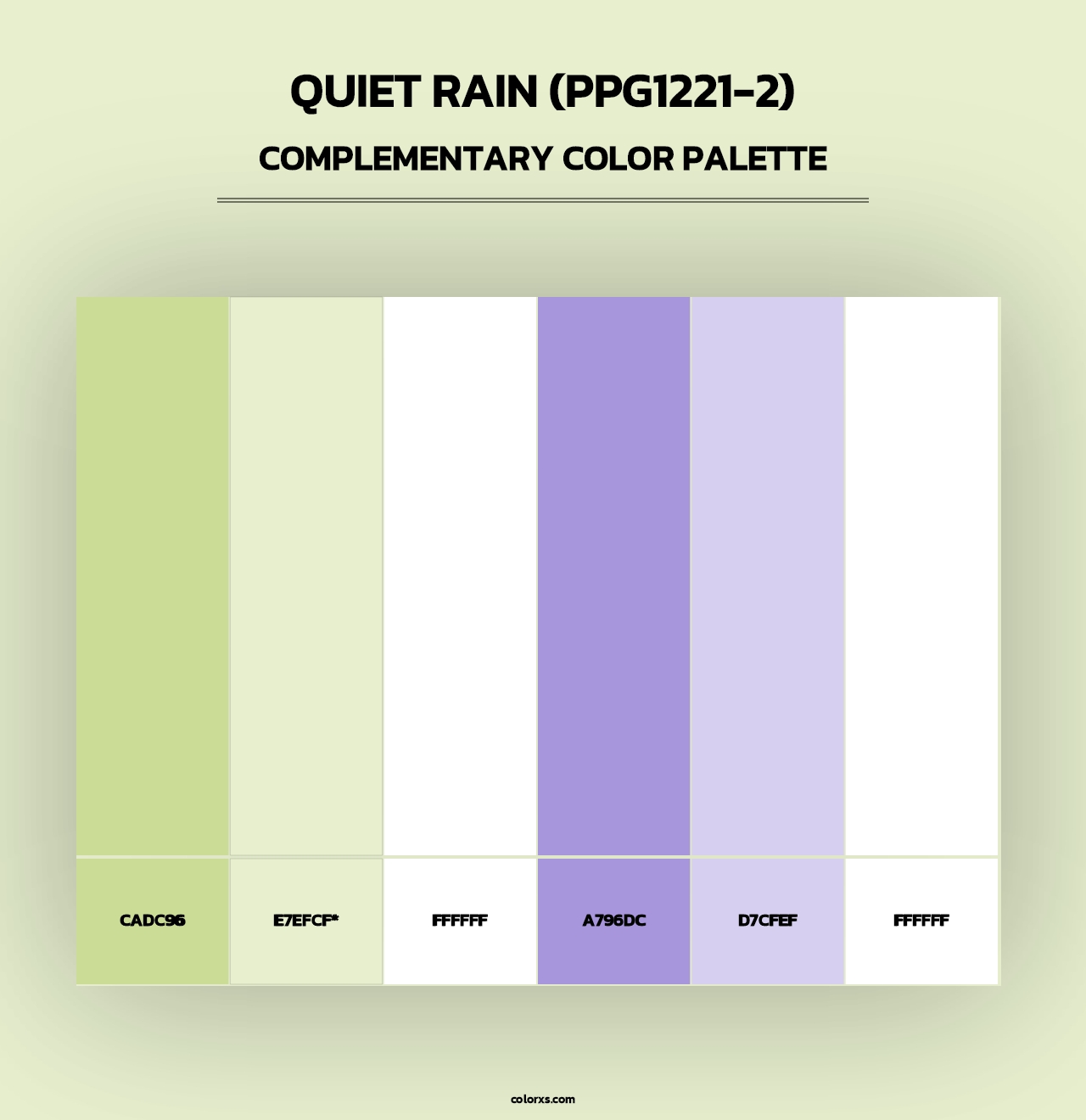 Quiet Rain (PPG1221-2) - Complementary Color Palette