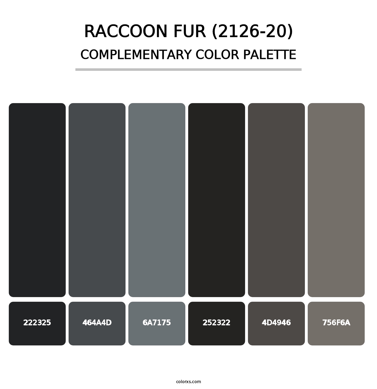 Raccoon Fur (2126-20) - Complementary Color Palette