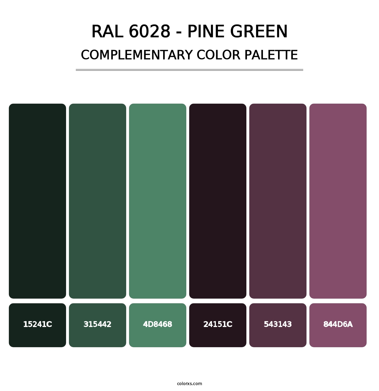 RAL 6028 - Pine Green - Complementary Color Palette