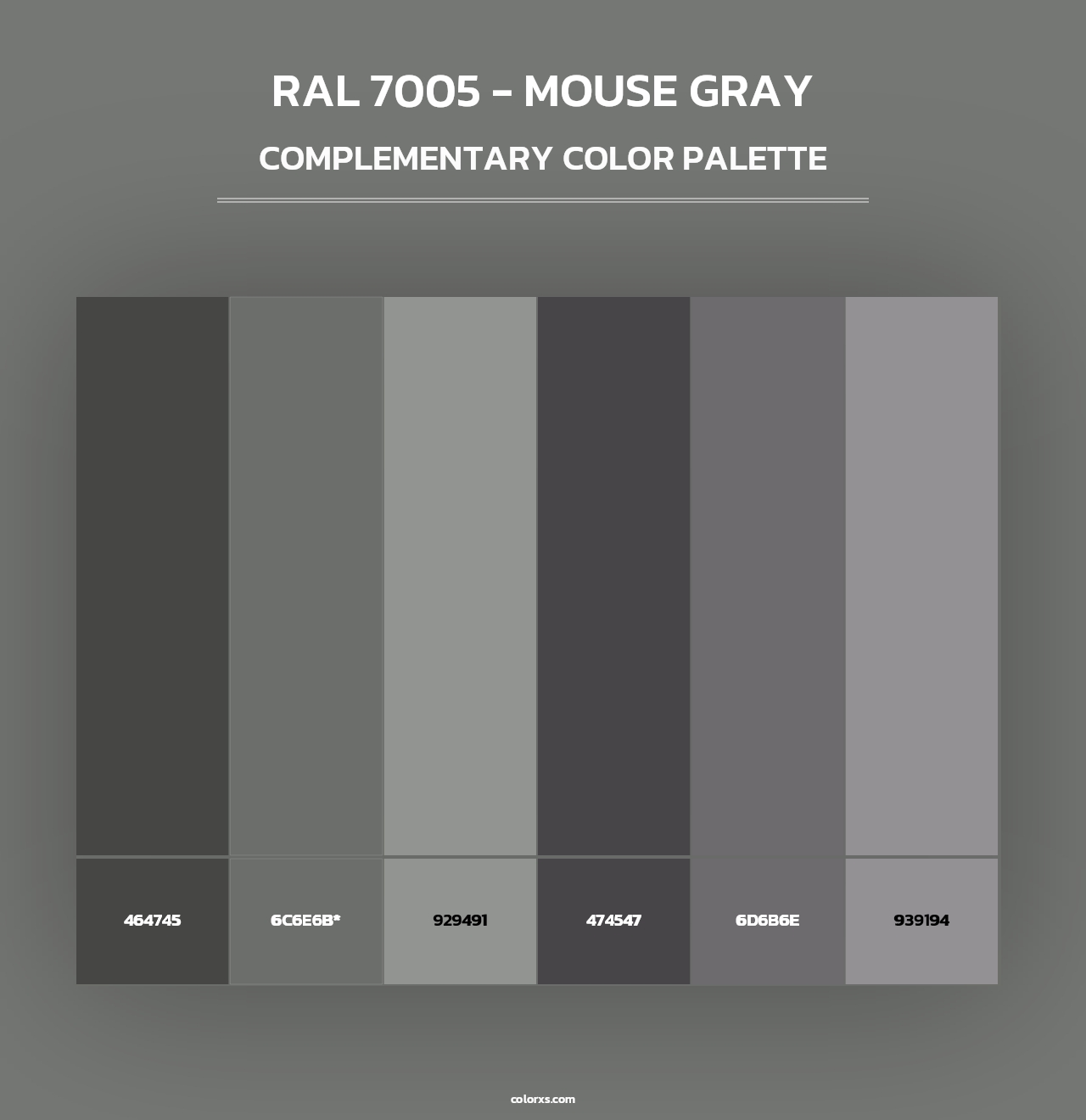 RAL 7005 - Mouse Gray - Complementary Color Palette