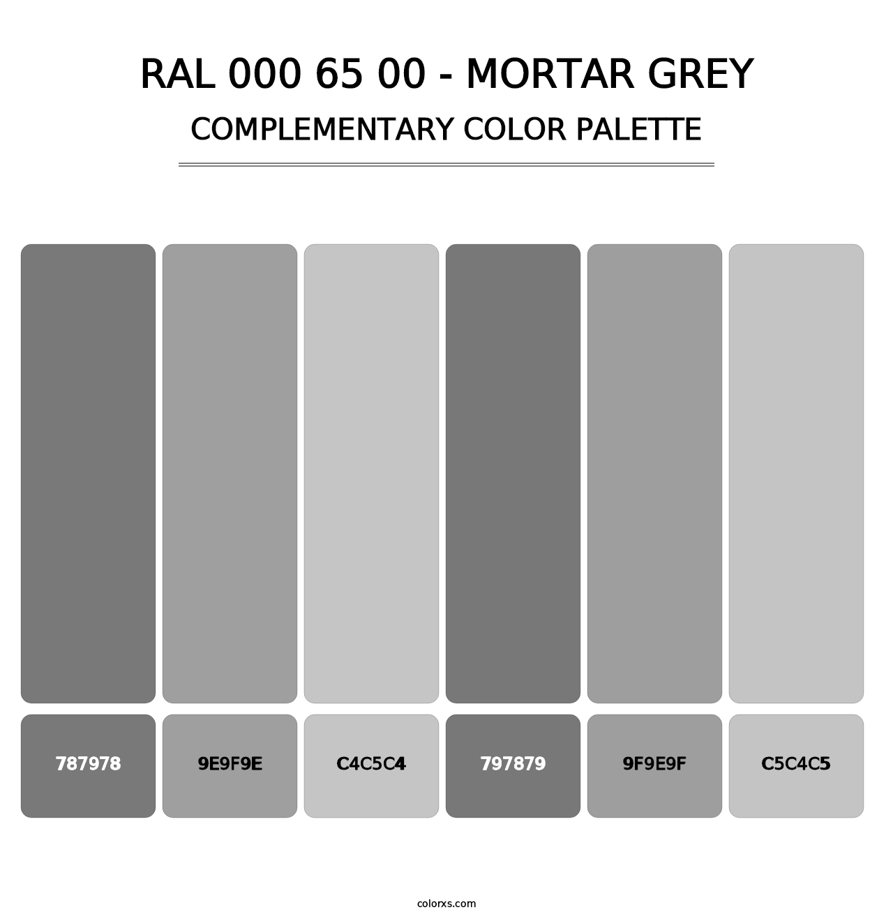 RAL 000 65 00 - Mortar Grey - Complementary Color Palette