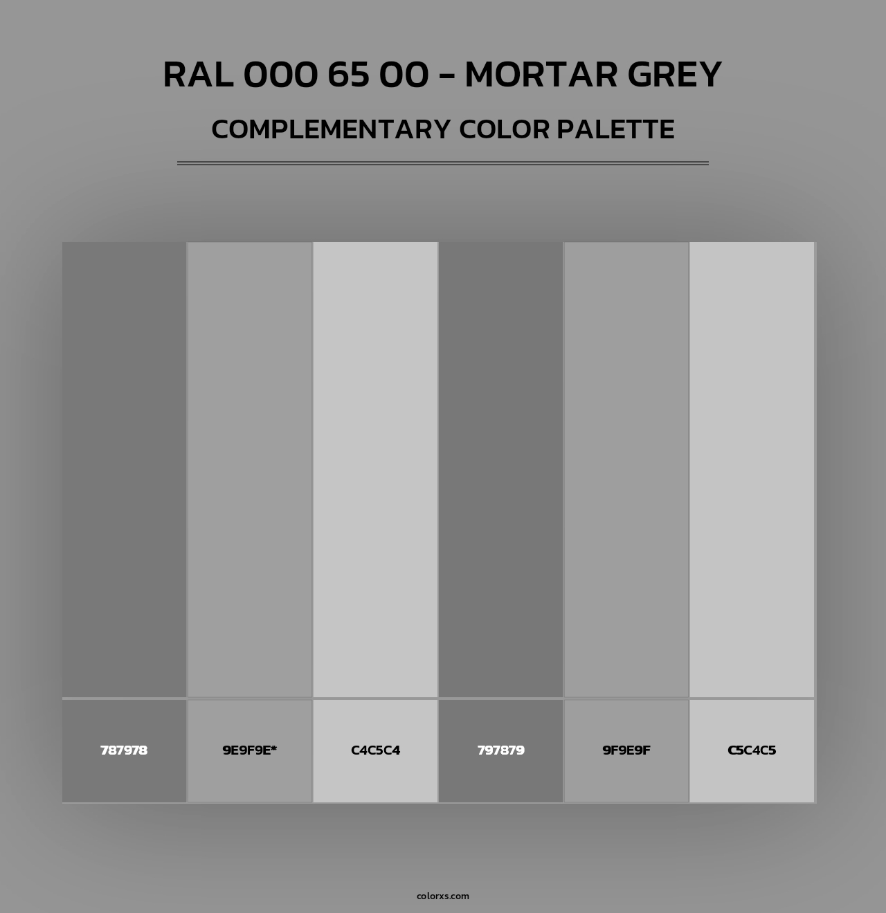 RAL 000 65 00 - Mortar Grey - Complementary Color Palette