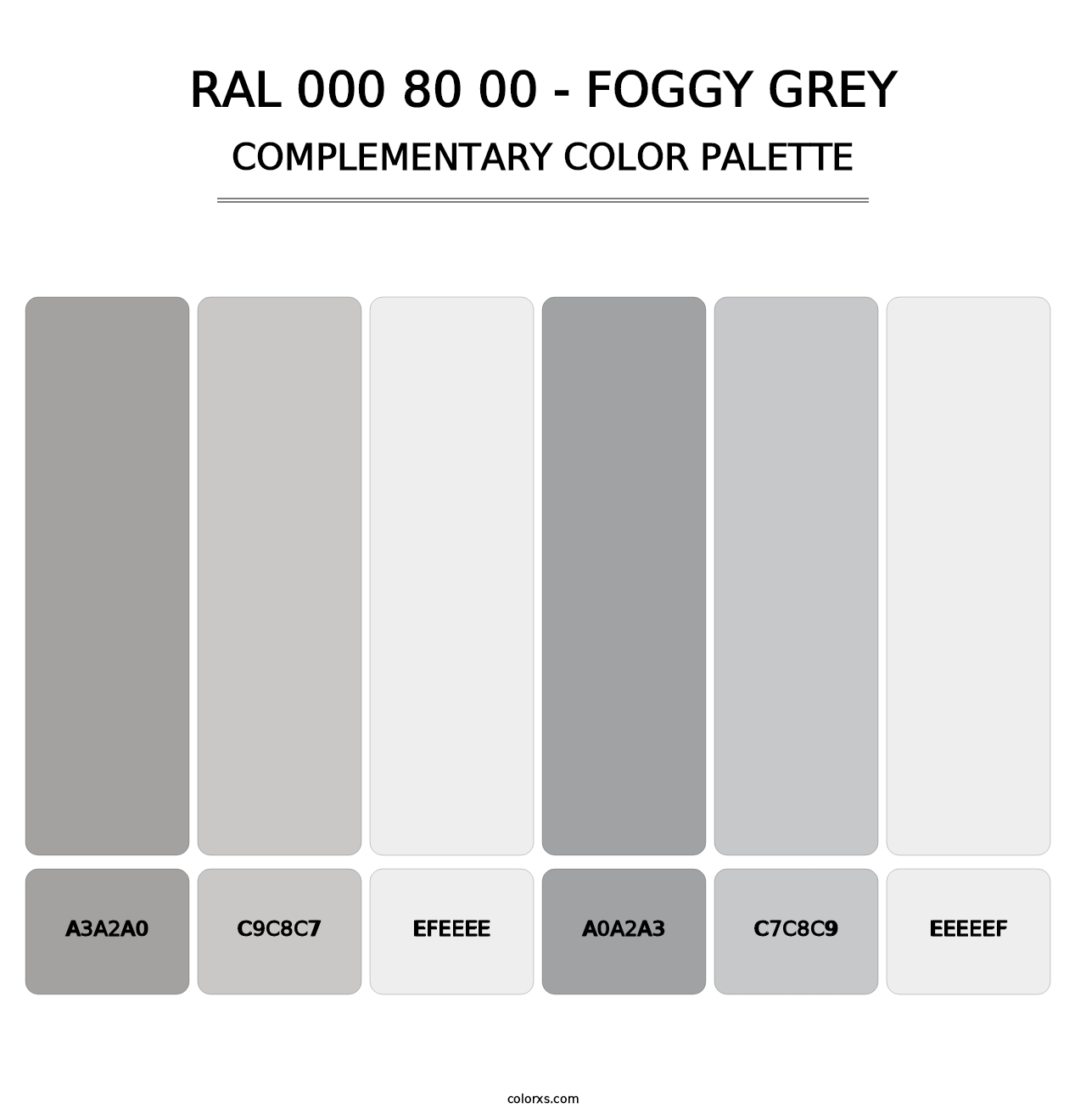 RAL 000 80 00 - Foggy Grey - Complementary Color Palette