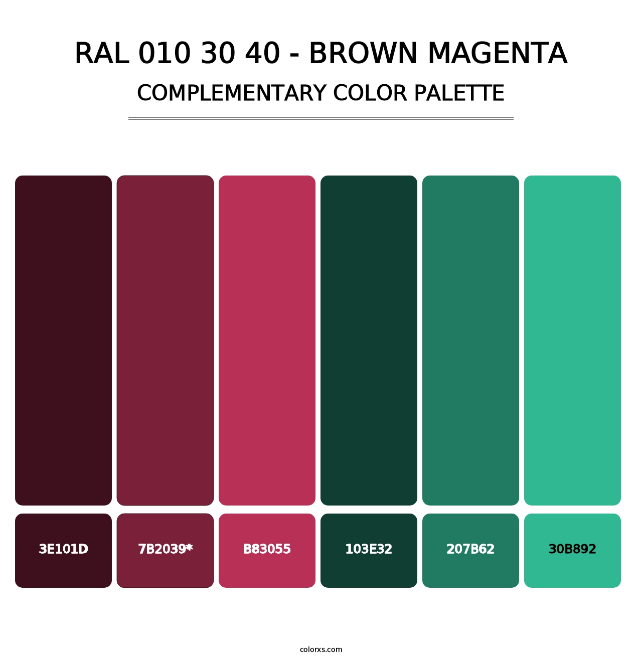 RAL 010 30 40 - Brown Magenta - Complementary Color Palette