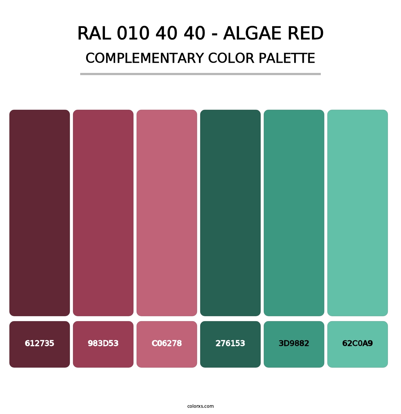 RAL 010 40 40 - Algae Red - Complementary Color Palette