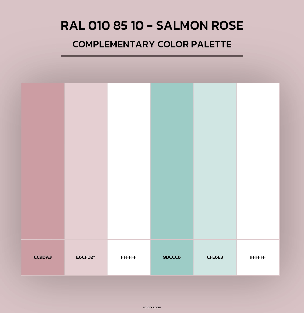 RAL 010 85 10 - Salmon Rose - Complementary Color Palette