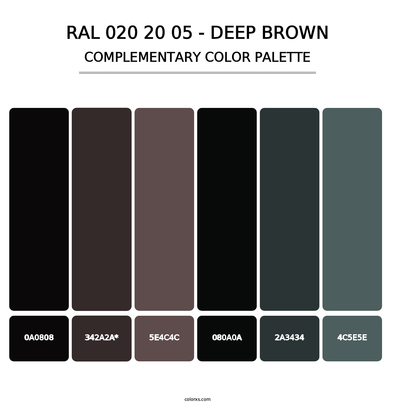 RAL 020 20 05 - Deep Brown - Complementary Color Palette