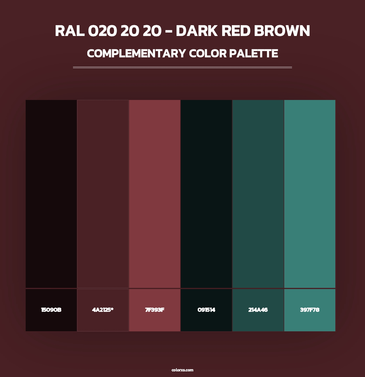 RAL 020 20 20 - Dark Red Brown - Complementary Color Palette