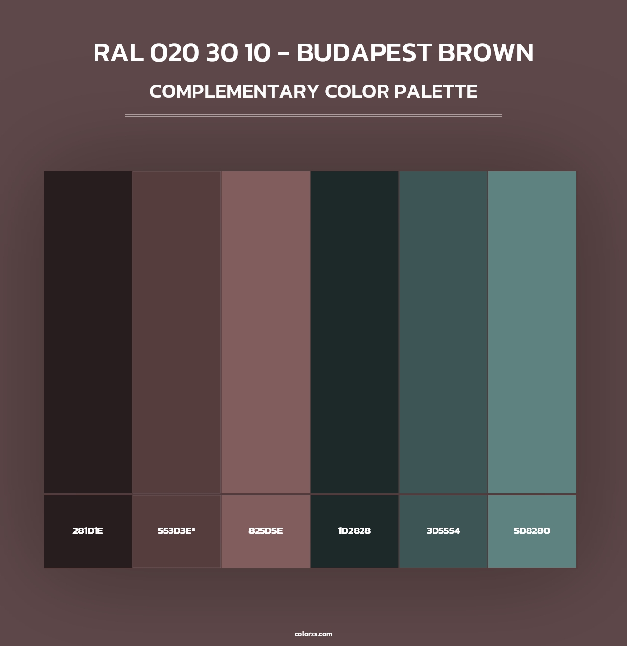 RAL 020 30 10 - Budapest Brown - Complementary Color Palette