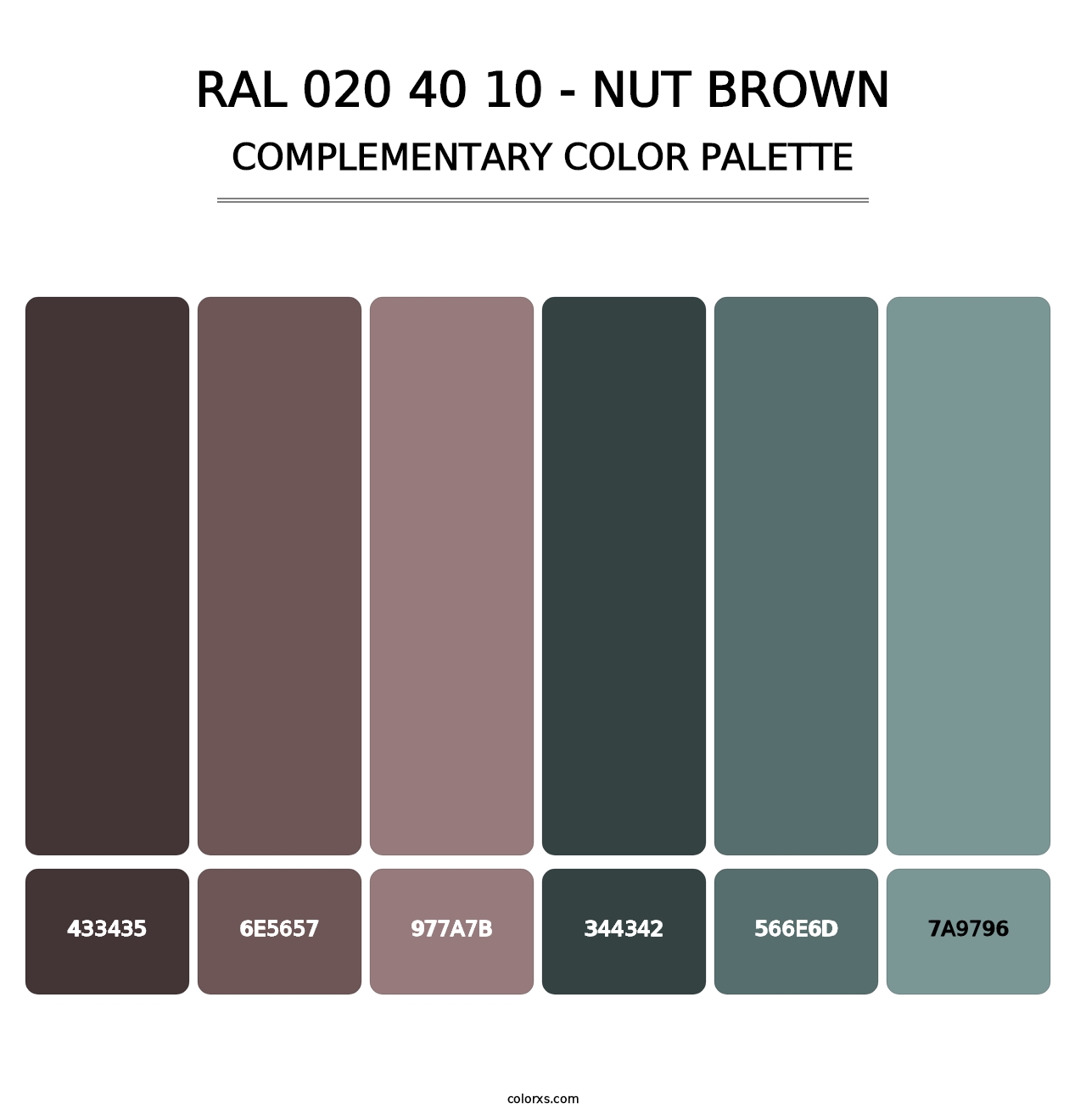 RAL 020 40 10 - Nut Brown - Complementary Color Palette