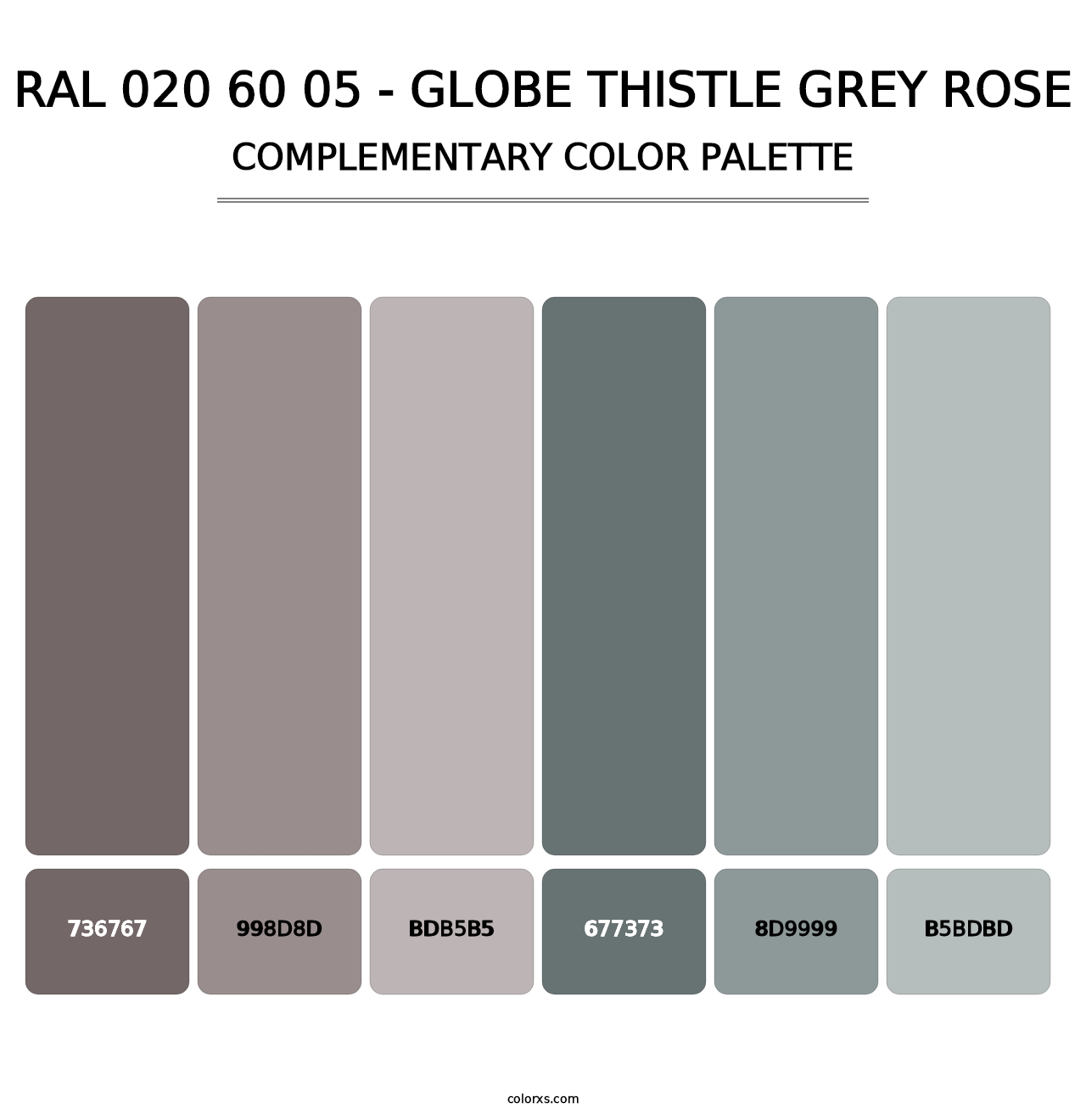RAL 020 60 05 - Globe Thistle Grey Rose - Complementary Color Palette