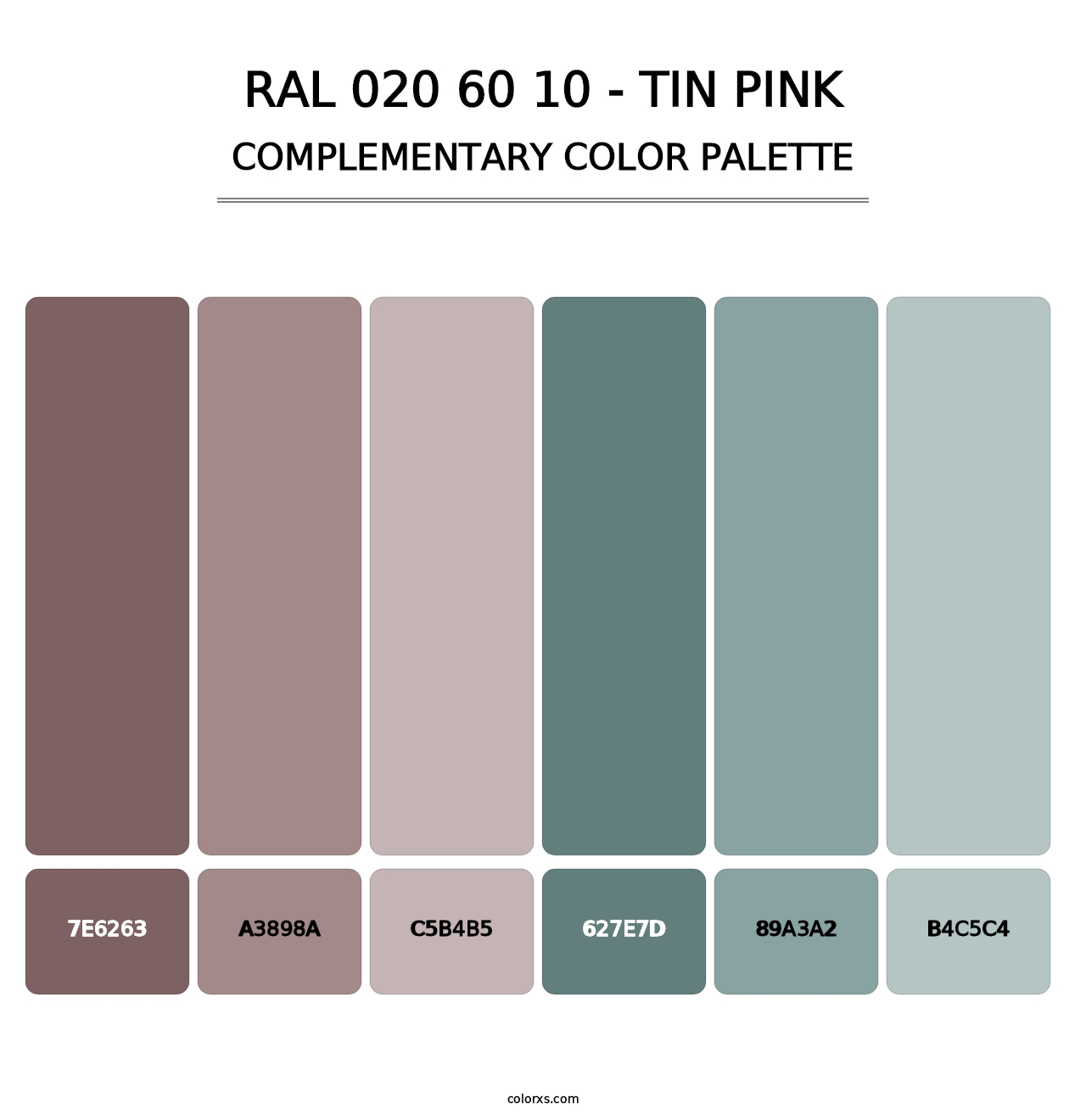 RAL 020 60 10 - Tin Pink - Complementary Color Palette