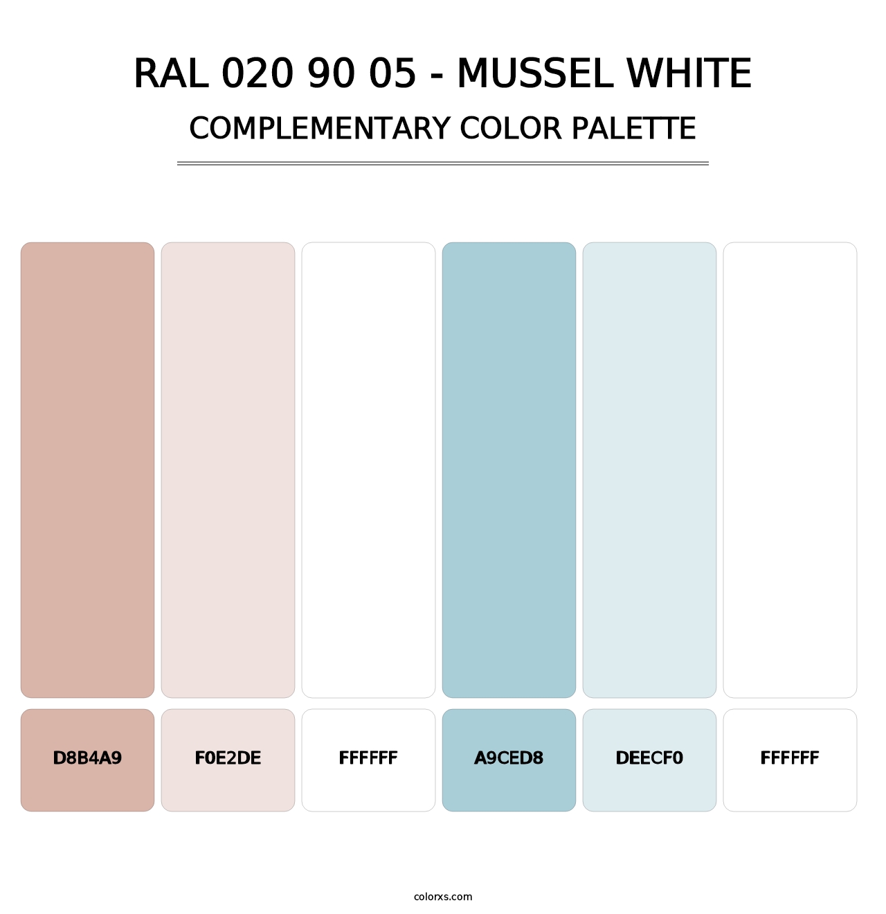 RAL 020 90 05 - Mussel White - Complementary Color Palette