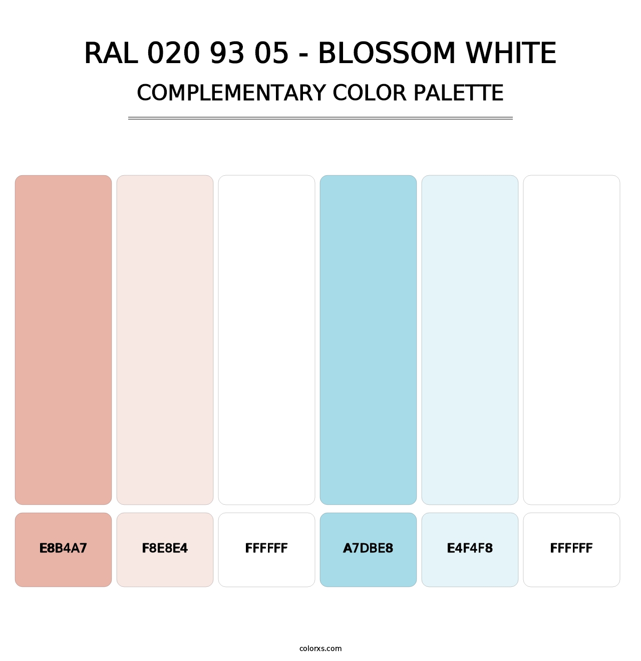 RAL 020 93 05 - Blossom White - Complementary Color Palette