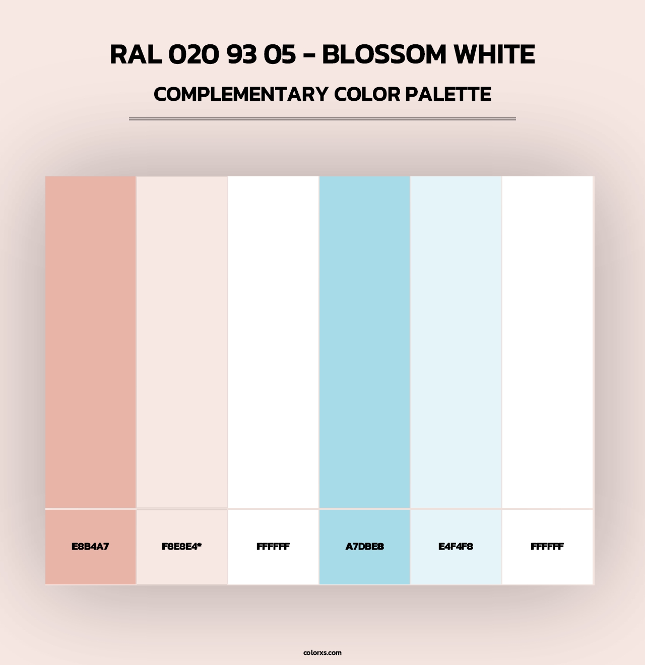 RAL 020 93 05 - Blossom White - Complementary Color Palette