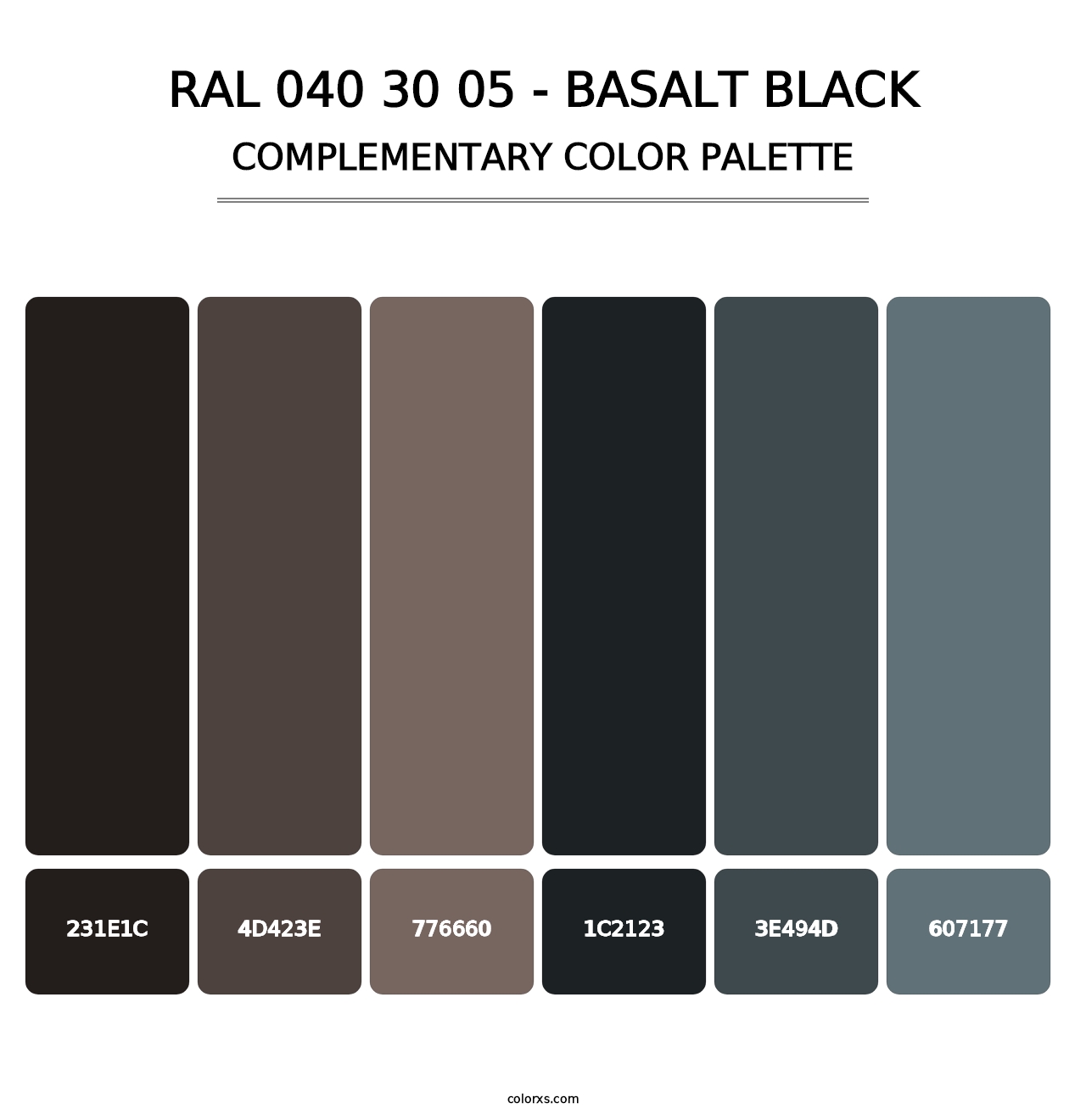 RAL 040 30 05 - Basalt Black - Complementary Color Palette