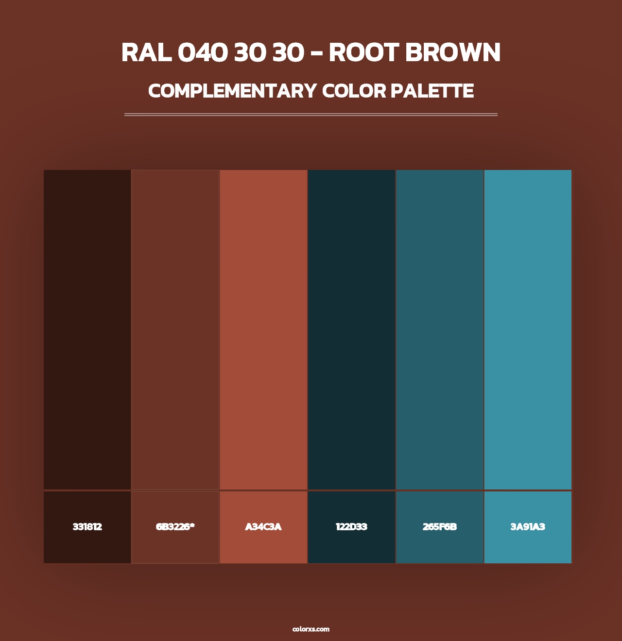 RAL 040 30 30 - Root Brown - Complementary Color Palette