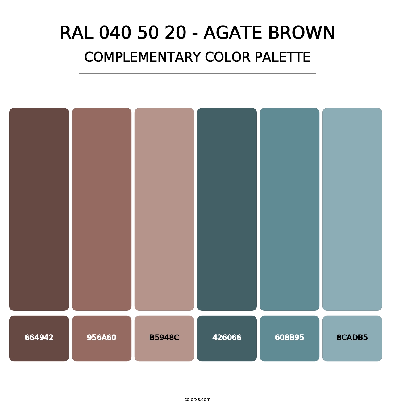 RAL 040 50 20 - Agate Brown - Complementary Color Palette