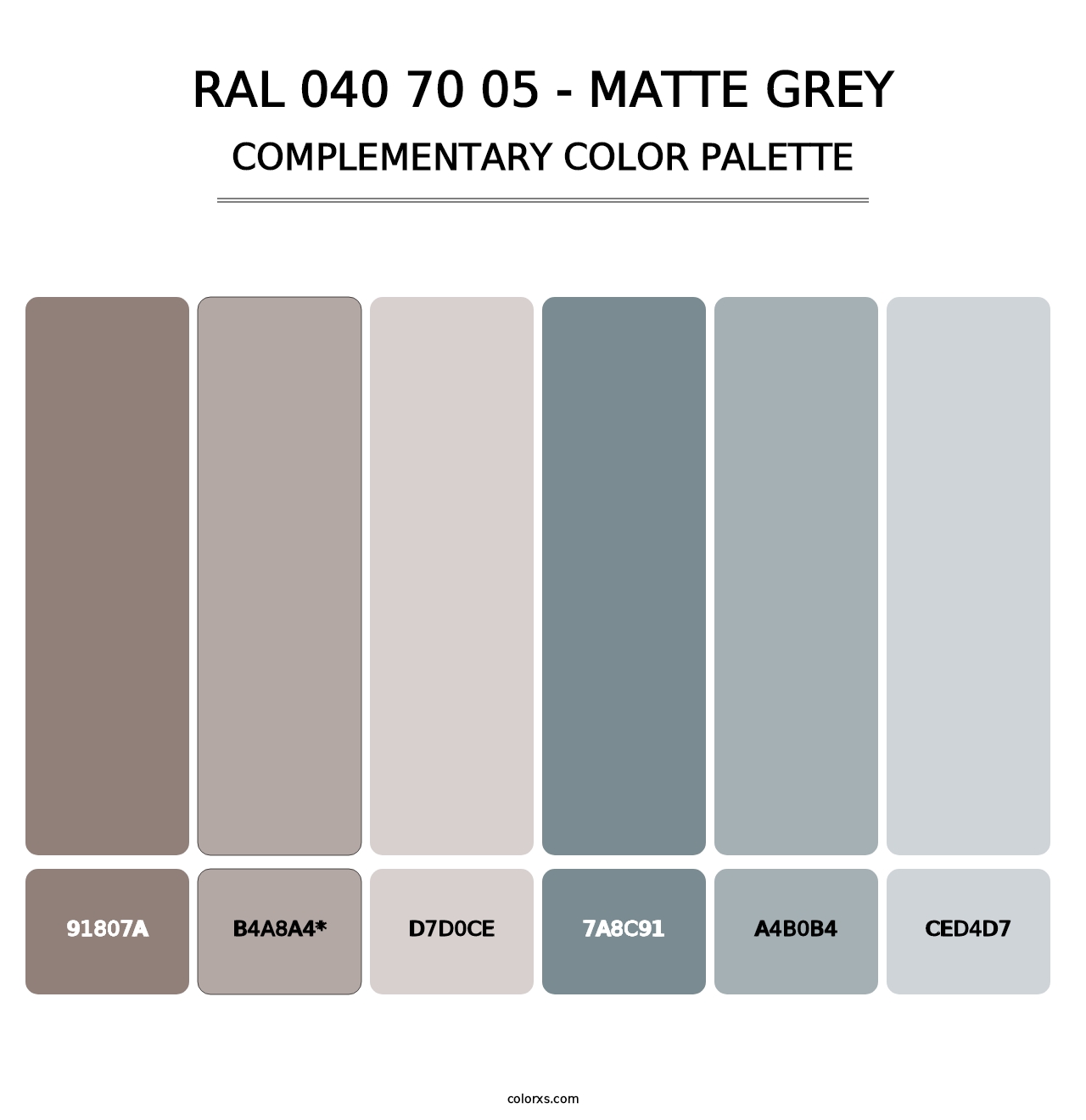 RAL 040 70 05 - Matte Grey - Complementary Color Palette