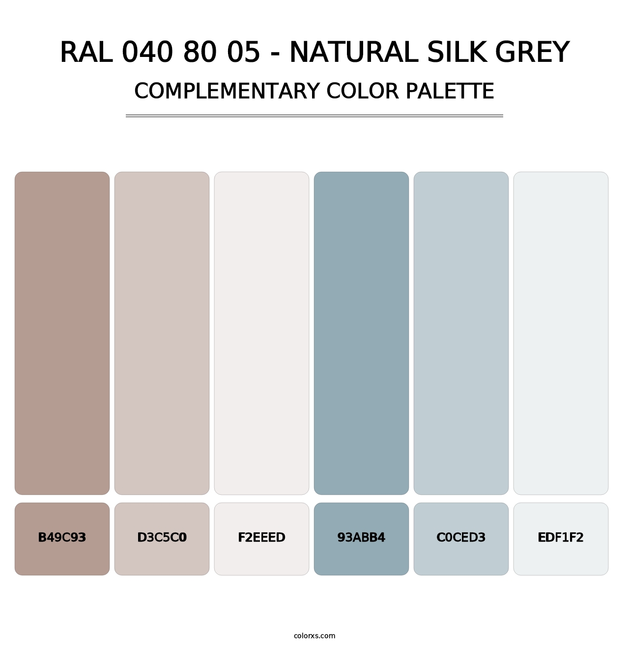 RAL 040 80 05 - Natural Silk Grey - Complementary Color Palette