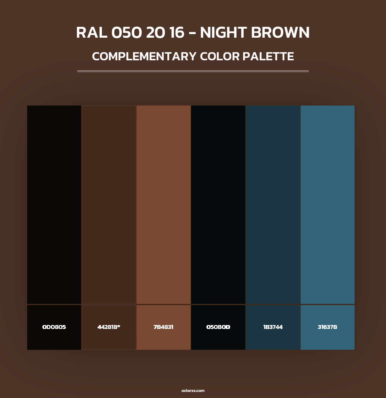 RAL 050 20 16 - Night Brown - Complementary Color Palette