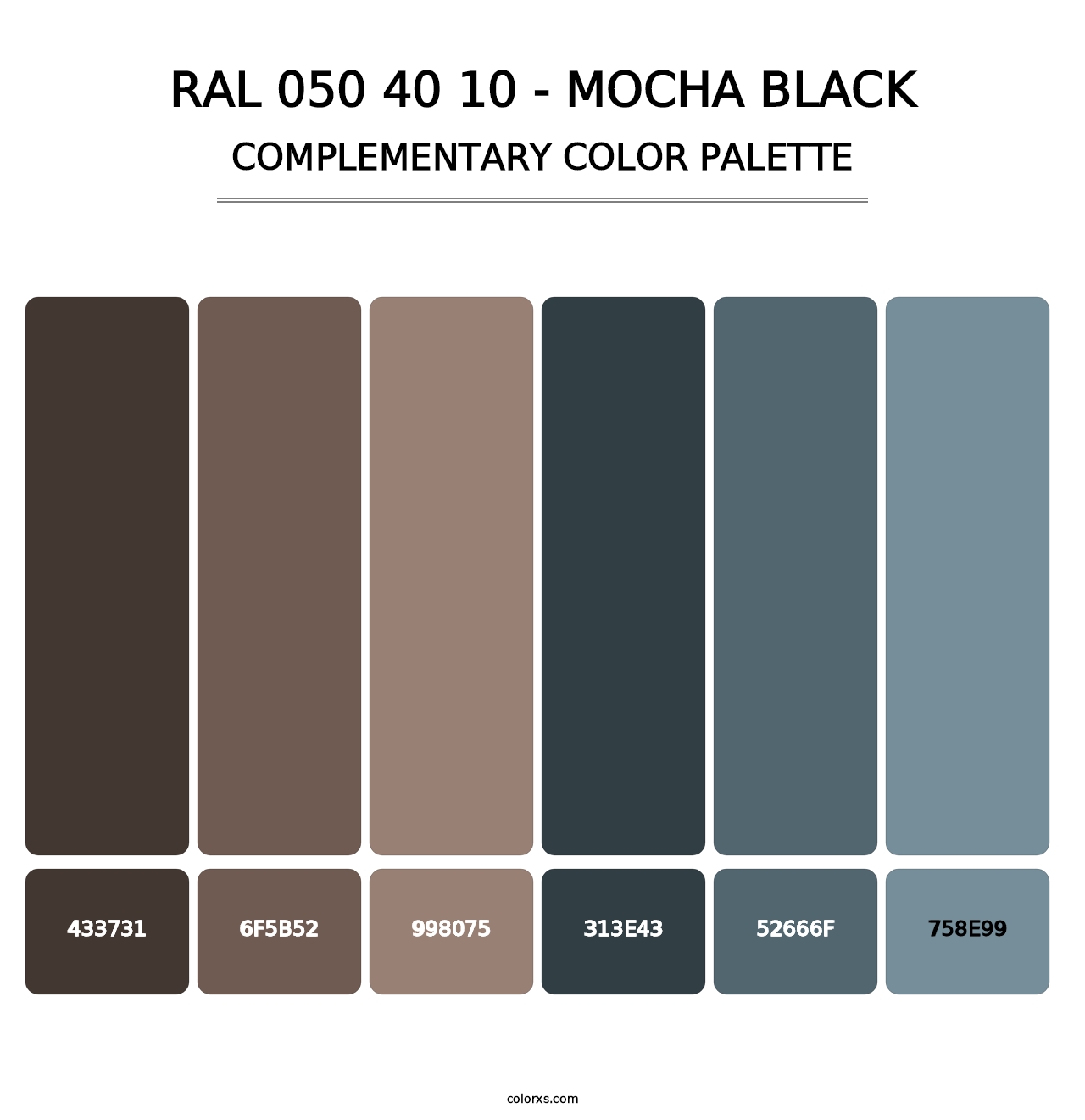 RAL 050 40 10 - Mocha Black - Complementary Color Palette