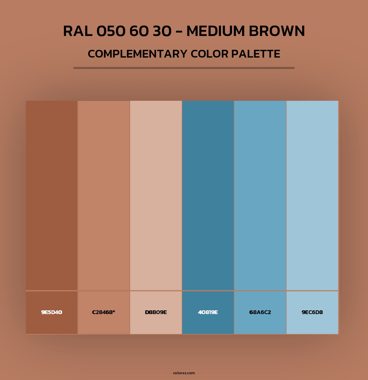RAL 050 60 30 - Medium Brown - Complementary Color Palette