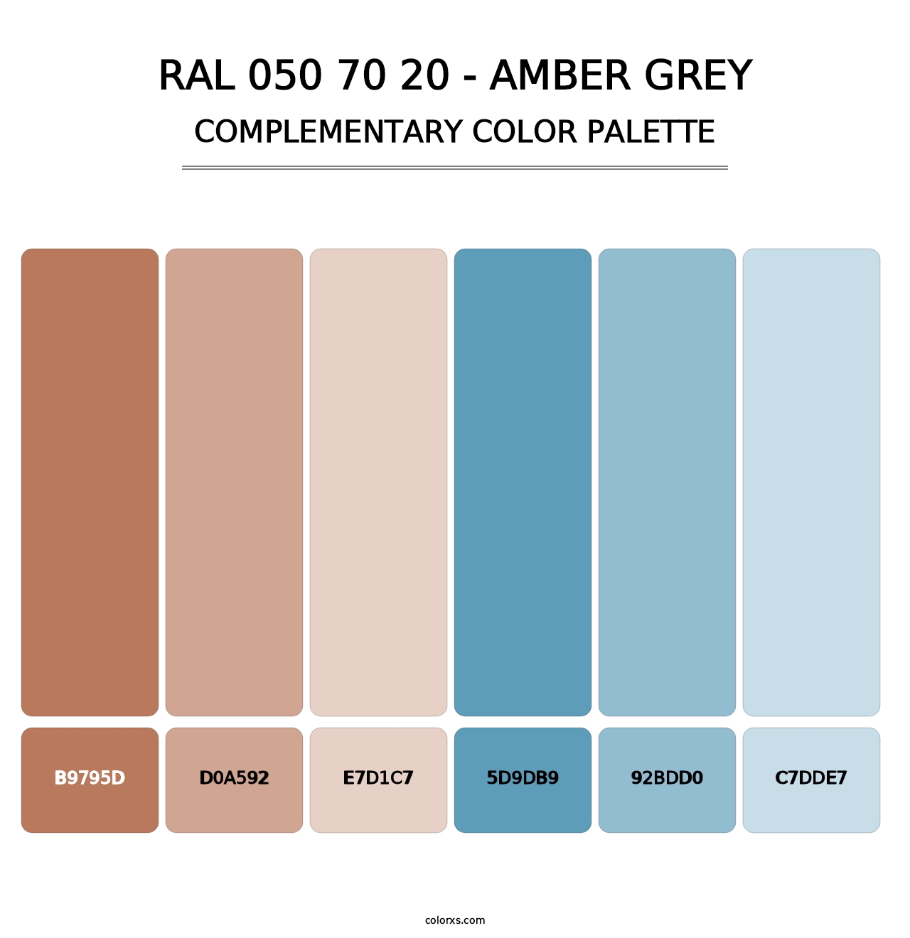 RAL 050 70 20 - Amber Grey - Complementary Color Palette