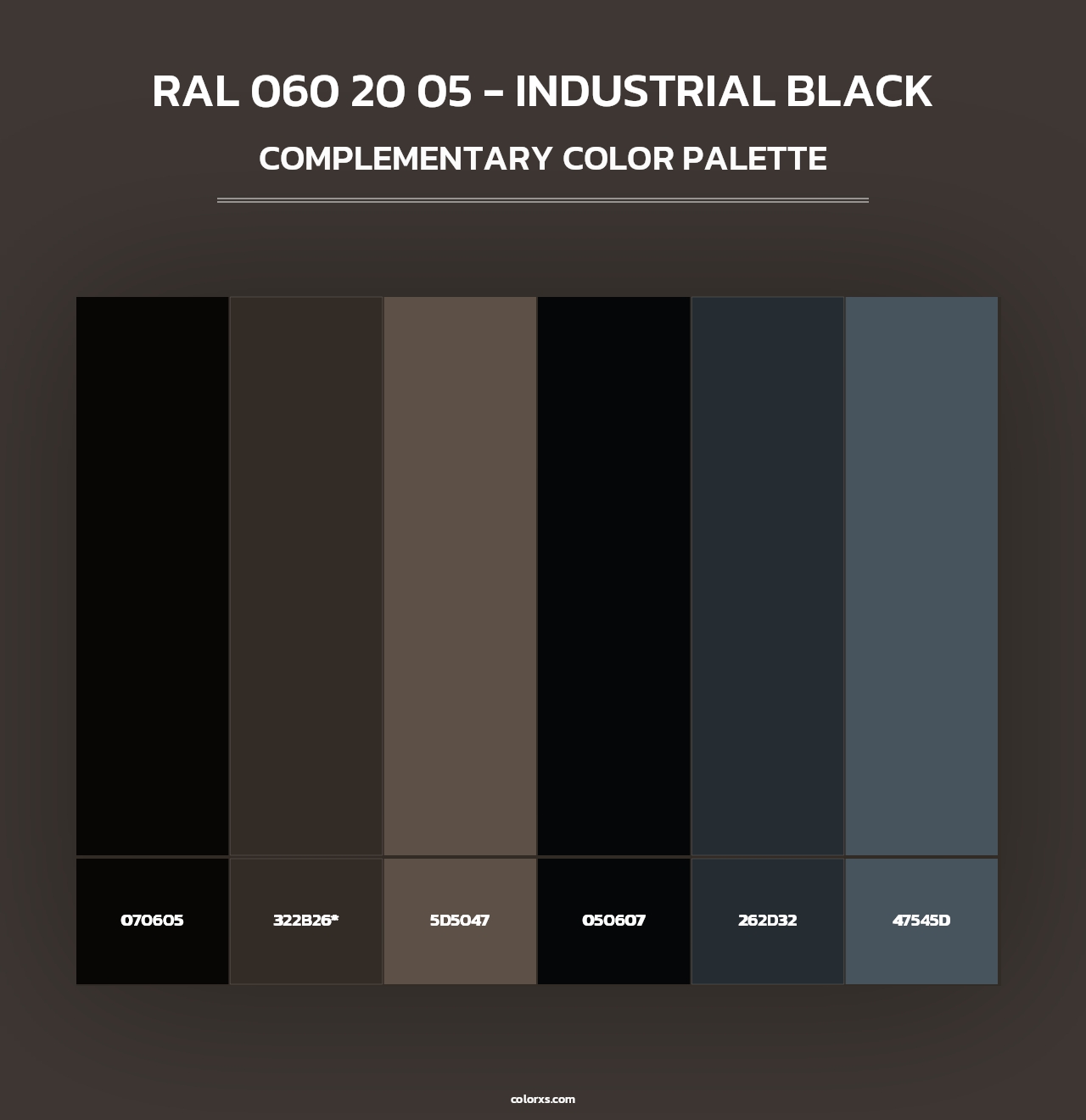 RAL 060 20 05 - Industrial Black - Complementary Color Palette
