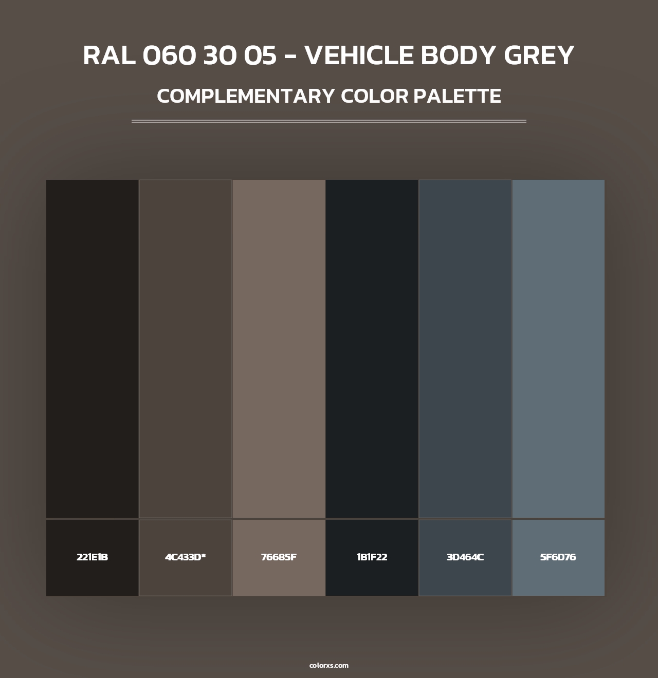 RAL 060 30 05 - Vehicle Body Grey - Complementary Color Palette