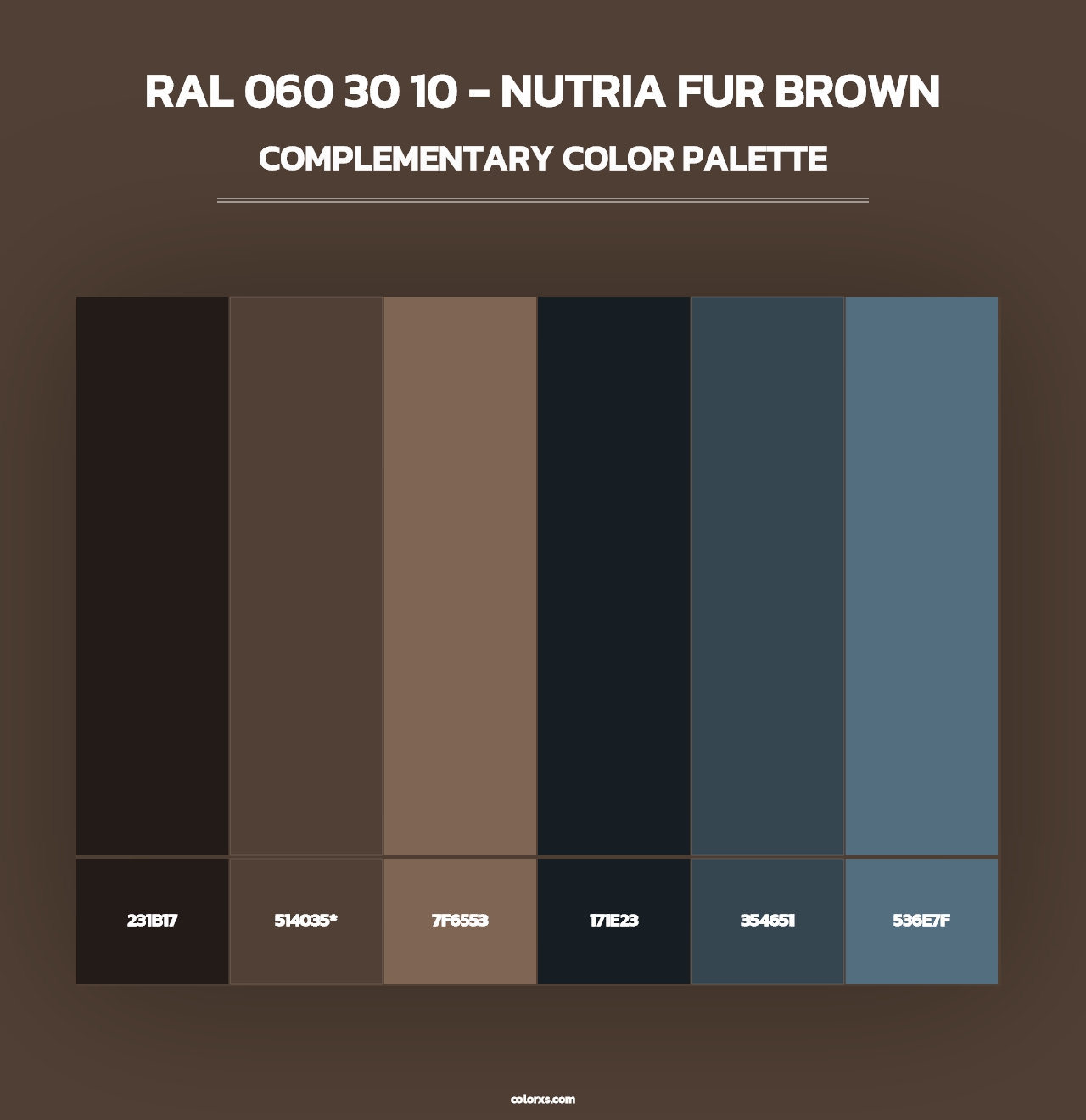 RAL 060 30 10 - Nutria Fur Brown - Complementary Color Palette