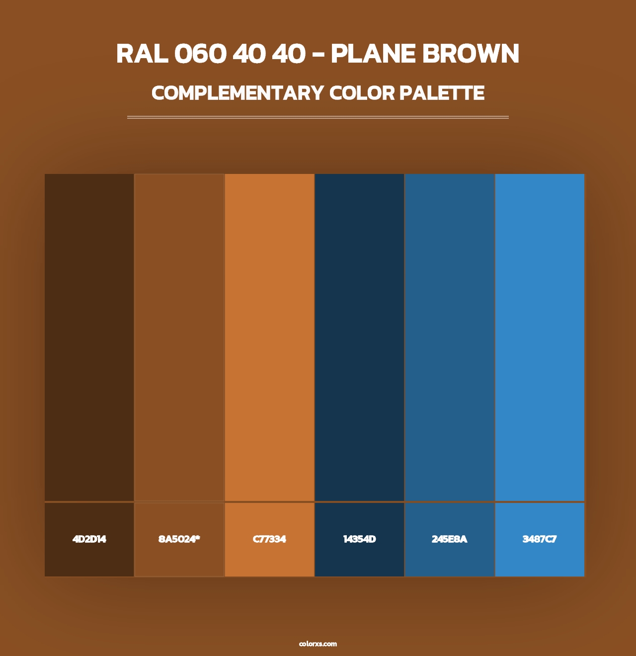 RAL 060 40 40 - Plane Brown - Complementary Color Palette